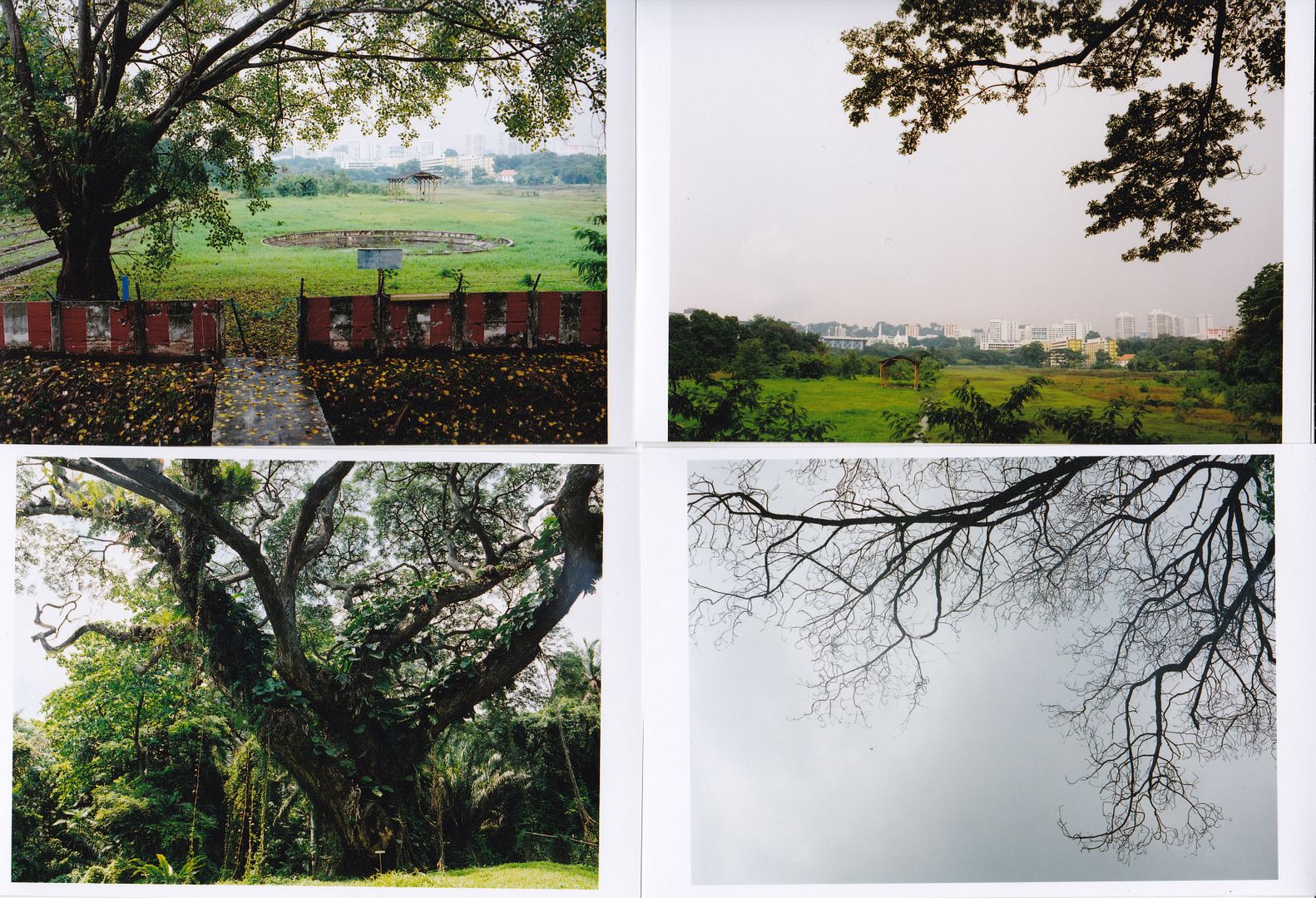 photo IMG_20141216_0004_zpsd00cb6fb.jpg