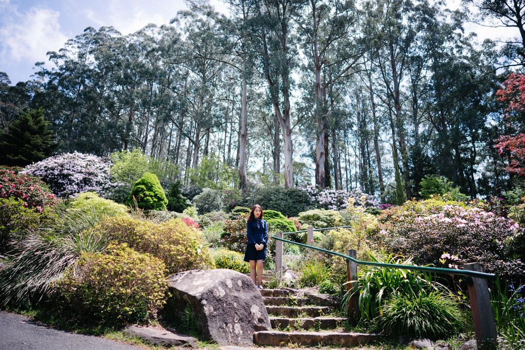  photo IMG_6832_zpscvfmyk1g.jpg