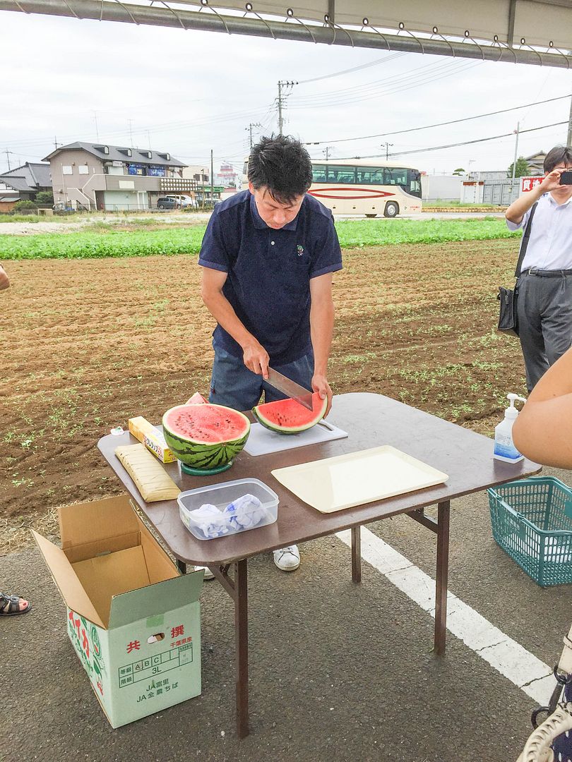 photo IMG_2220_zpslmp7juxg.jpg