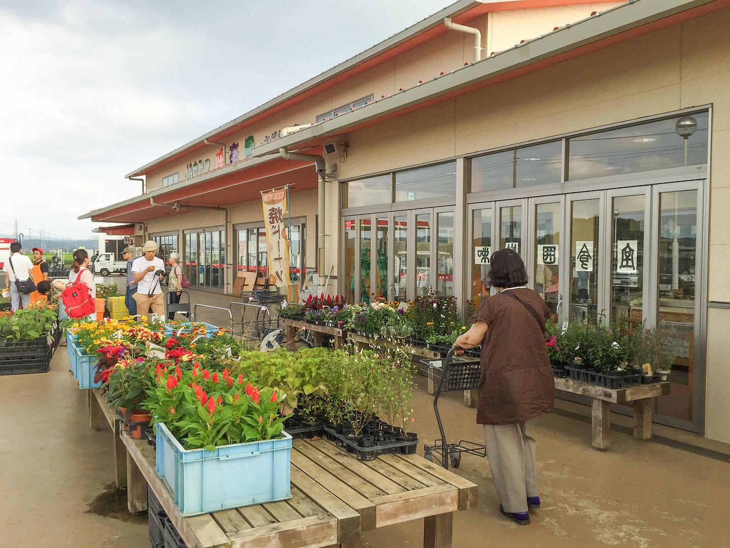  photo IMG_2299_zpss9shyfrj.jpg