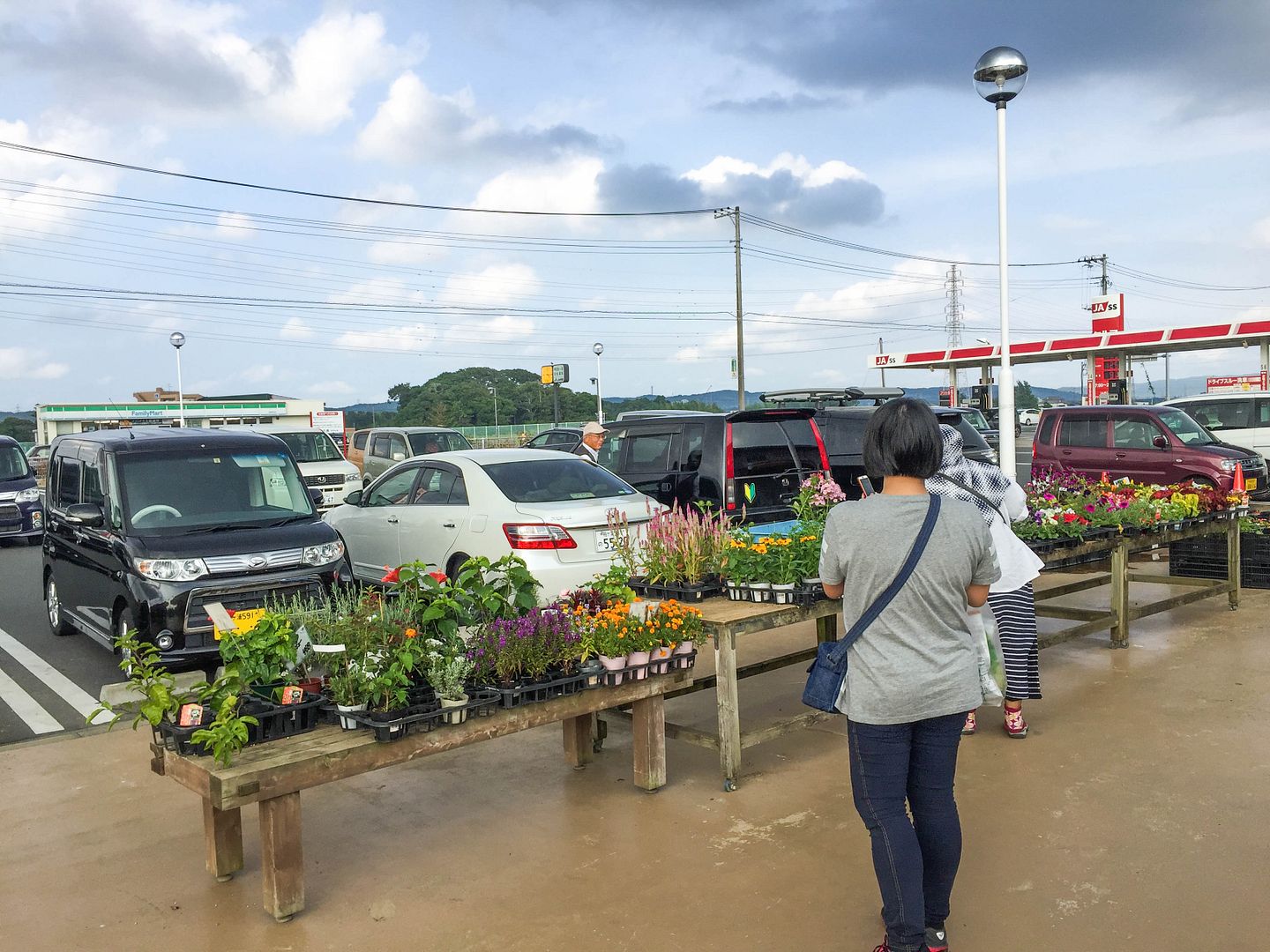  photo IMG_2300_zps8dstpbyc.jpg