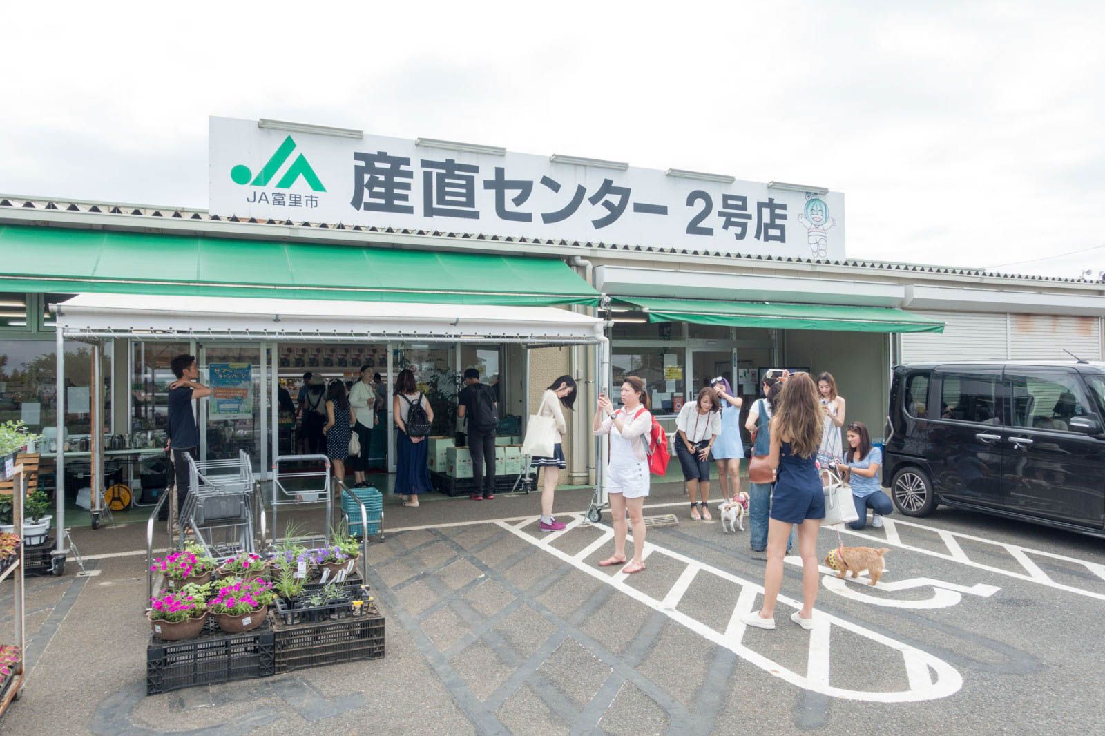 photo IMG_2674_zps8wzadyl6.jpg