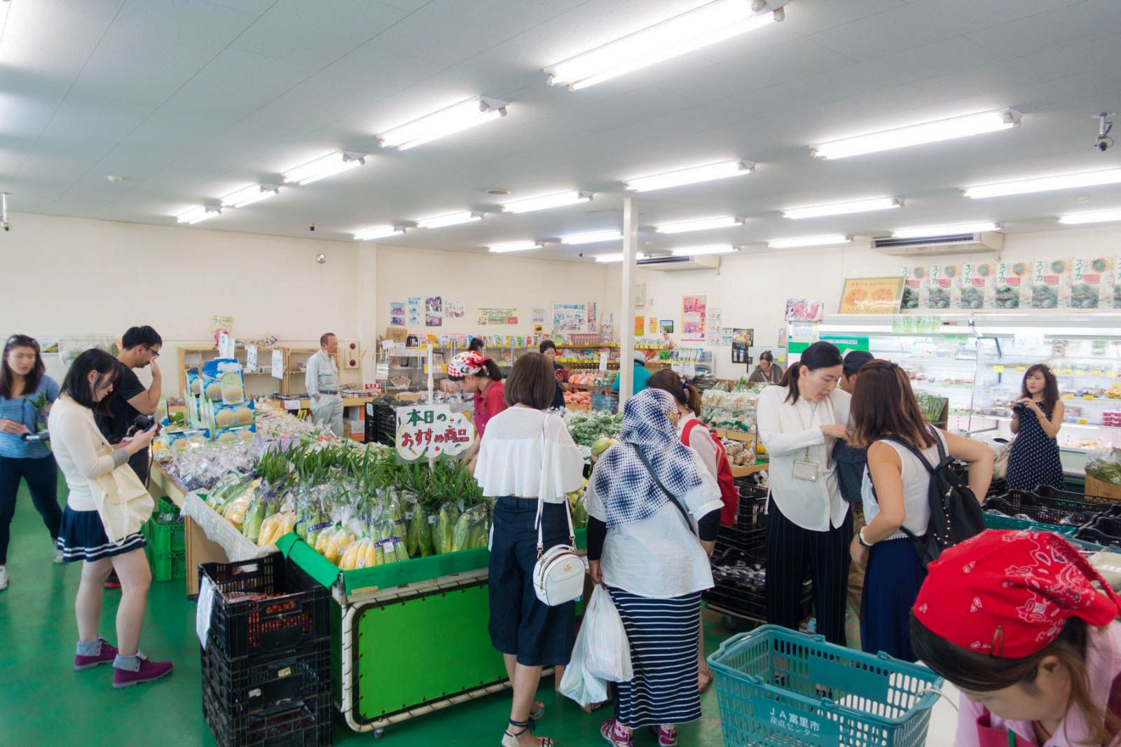 photo IMG_2677_zpskrnffi40.jpg