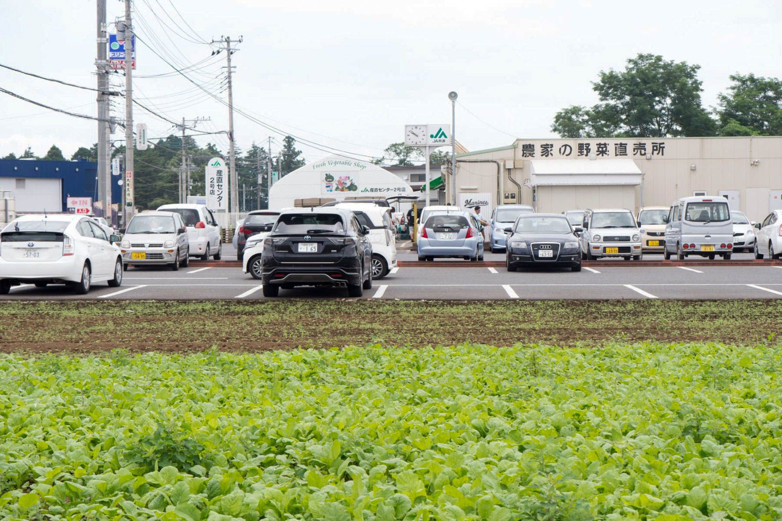 photo IMG_2679_zpsgsxf1ucy.jpg