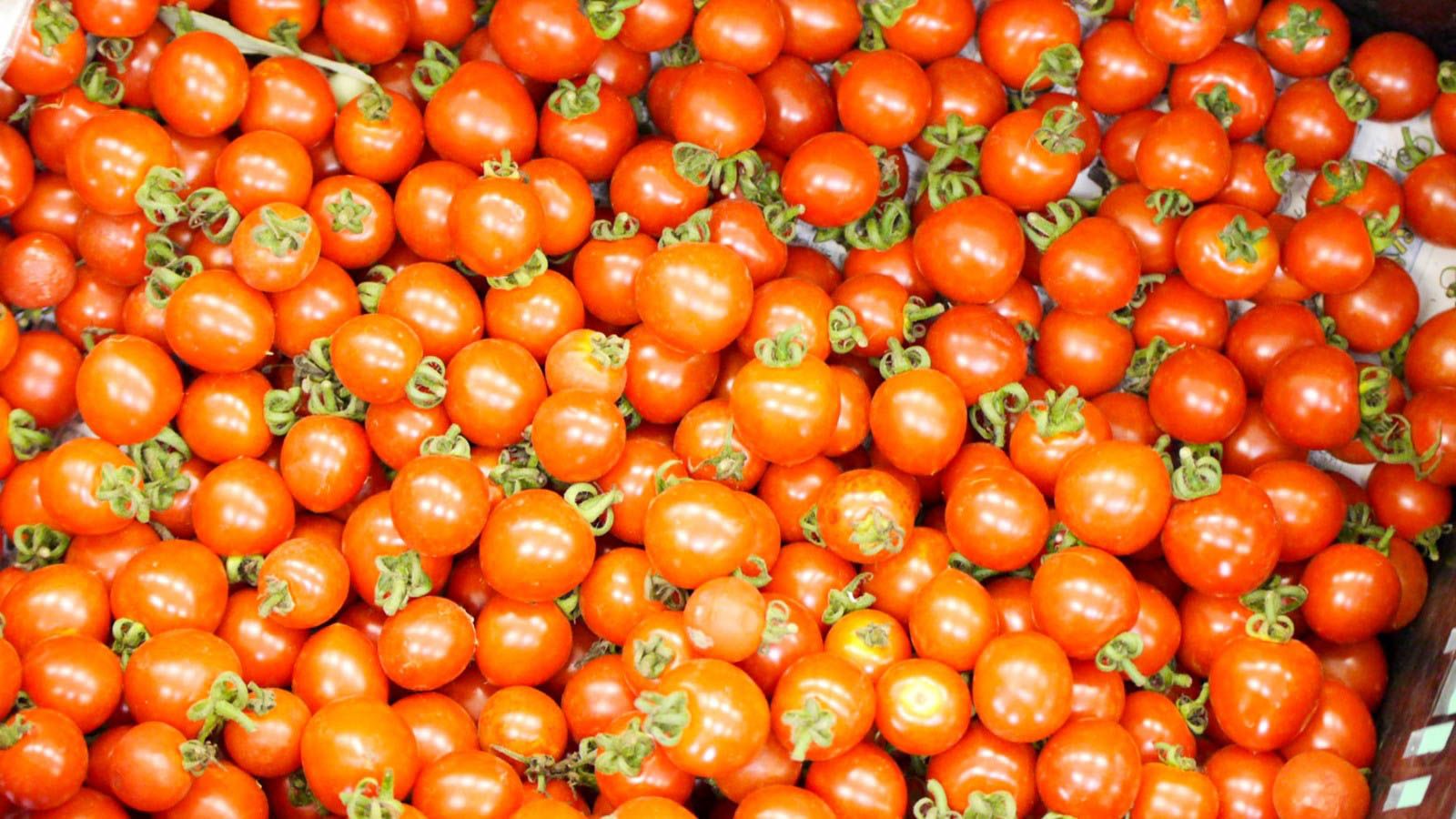 photo IMG_2682_zpsm0i8zpv6.jpg