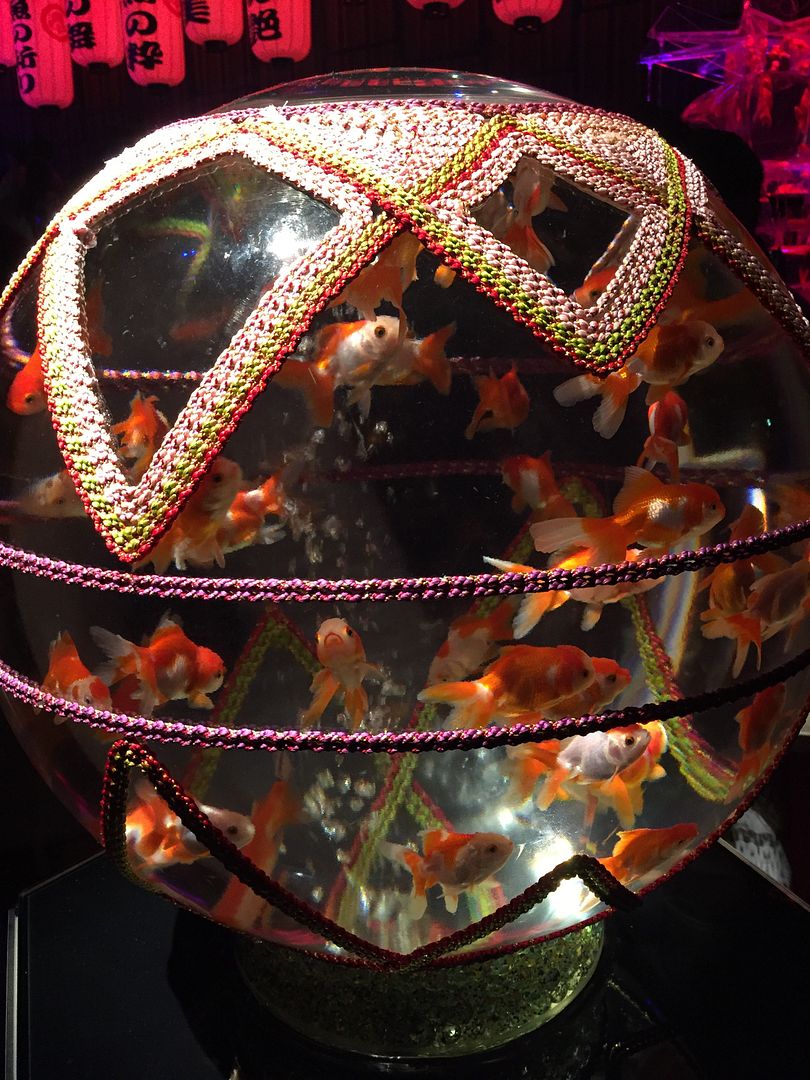 photo 41_zps87fi364a.jpg