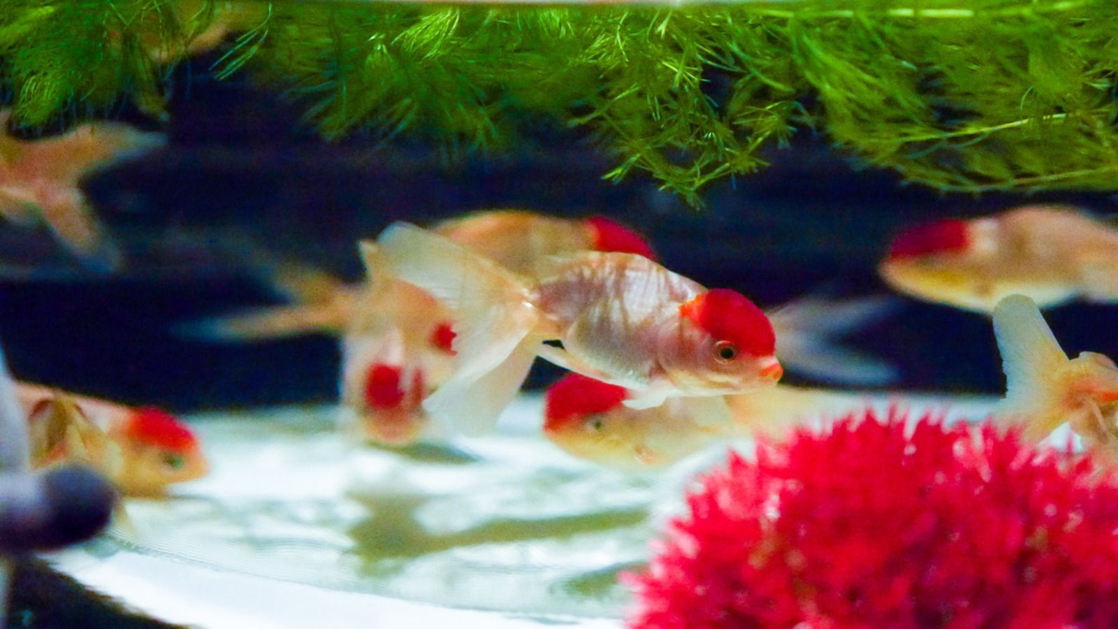 photo 43_zpsst3n854u.jpg