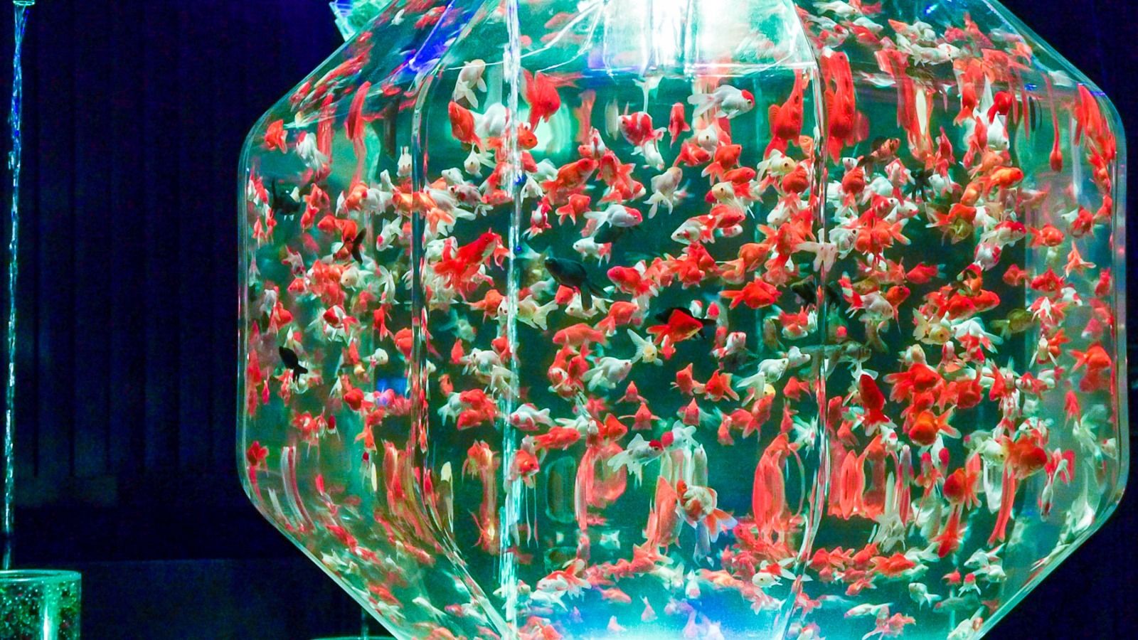 photo 44_zpsalai4cmv.jpg