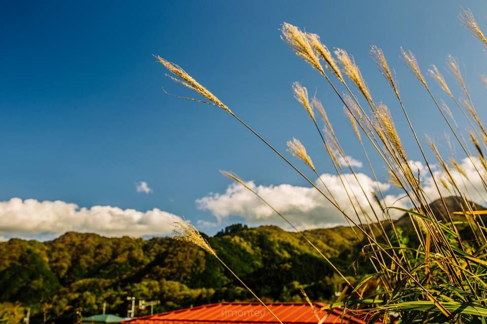 12 photo 12_zpsb26ba885.jpg