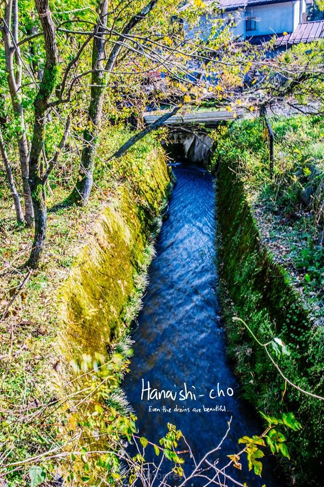 14 photo 14_zps307466db.jpg