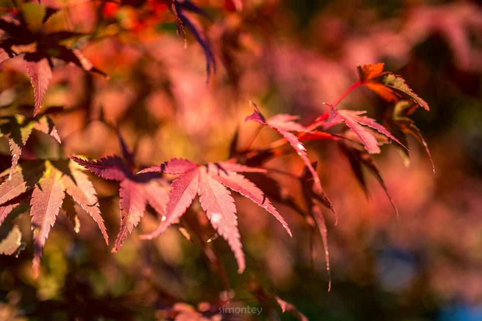 15 photo 15_zps16d044d6.jpg