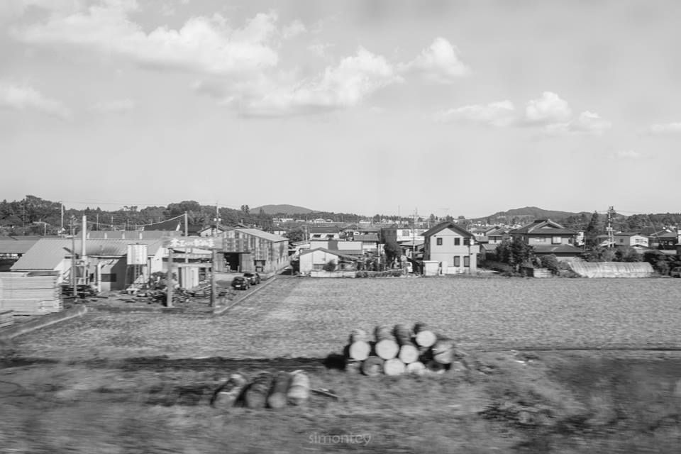 9 photo 9_zpsce1caea8.jpg