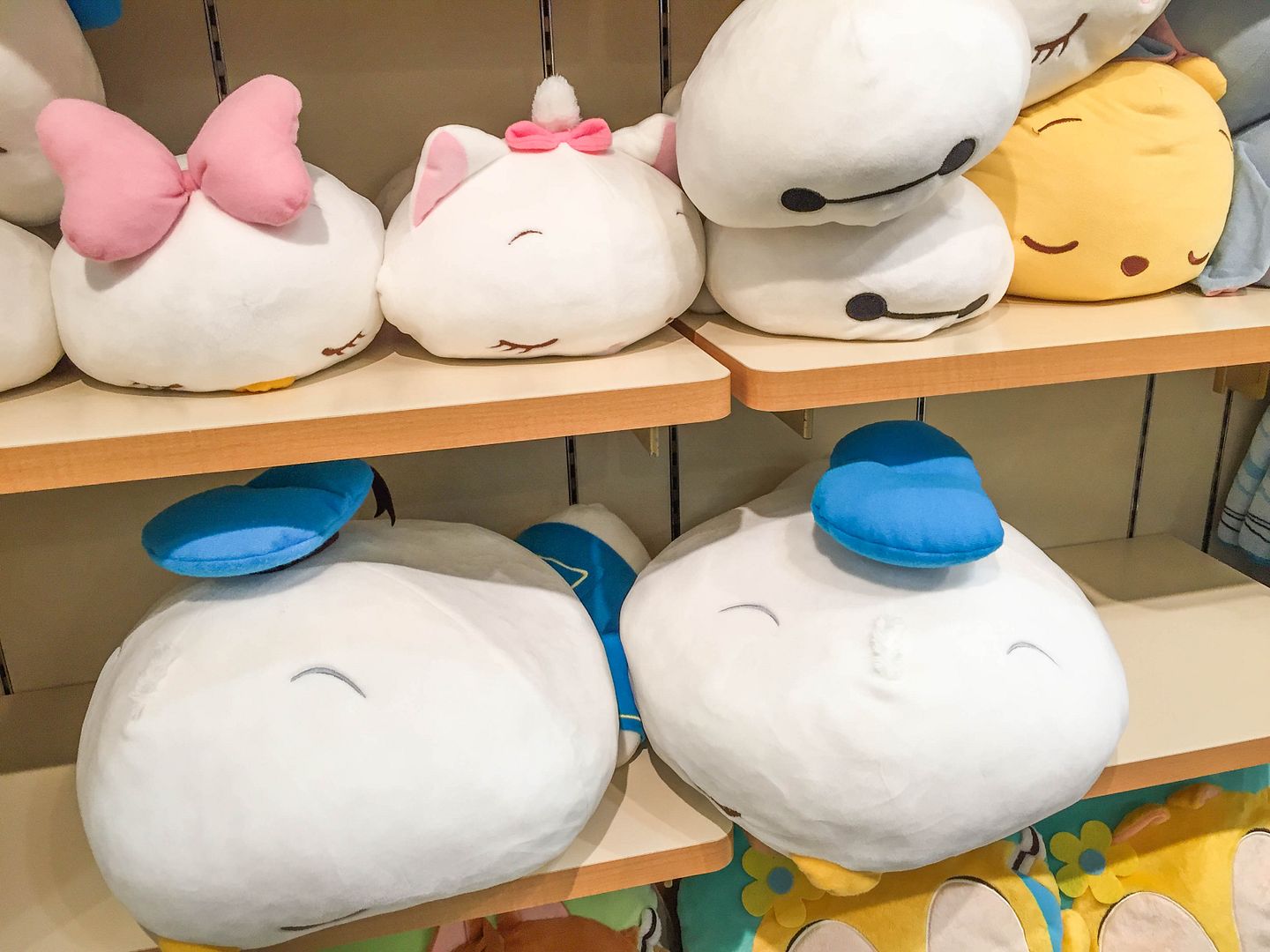 photo IMG_2416_zpsqvmulmxa.jpg