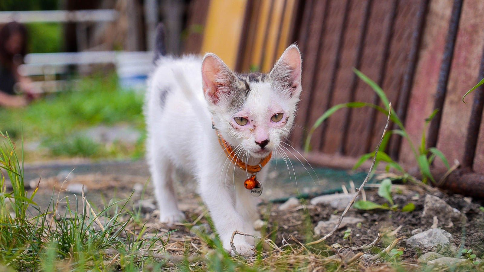 photo IMG_2704_zpssjxynlbk.jpg