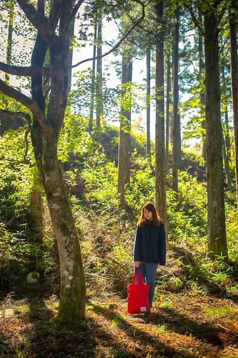 67 photo nikko67_zps6ec461cb.jpg