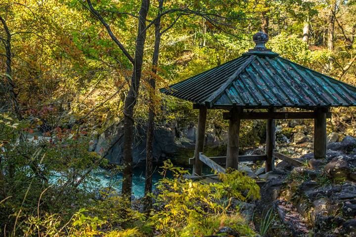 71 photo nikko71_zps3b8920b5.jpg