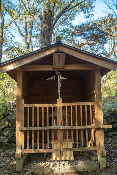 73 photo nikko73_zps952b1301.jpg