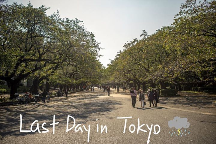  photo tokyo53_zps0e64b97e.jpg