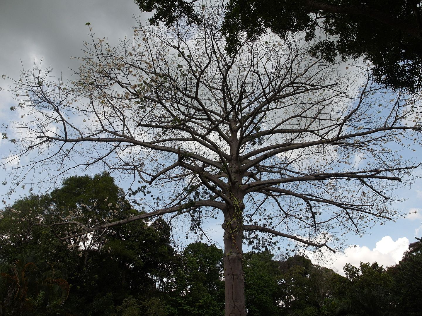  photo SAM_0031_zpse3601c6d.jpg