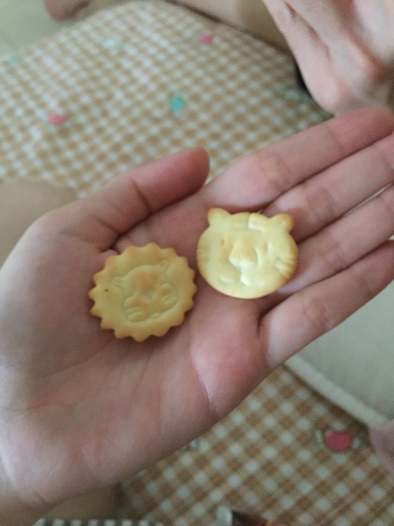  photo IMG_0449_zpskpxijr7i.jpg