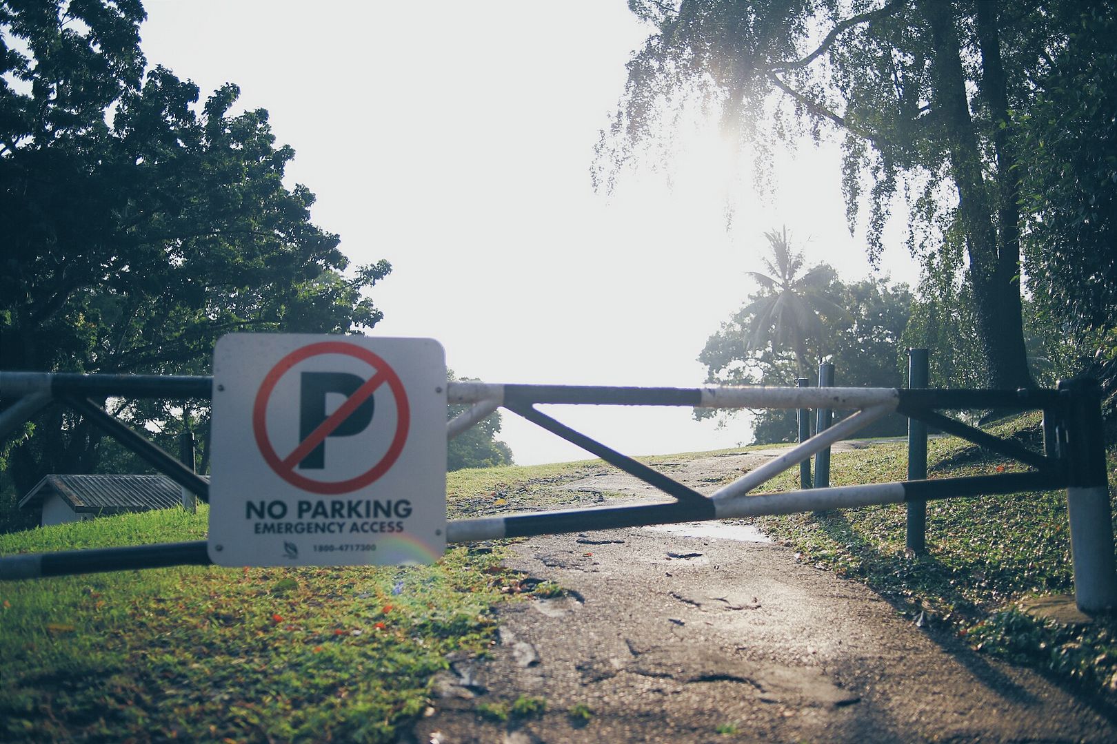 photo 2014-08-24 04.02.23 1_zpsofnhibcu.jpg