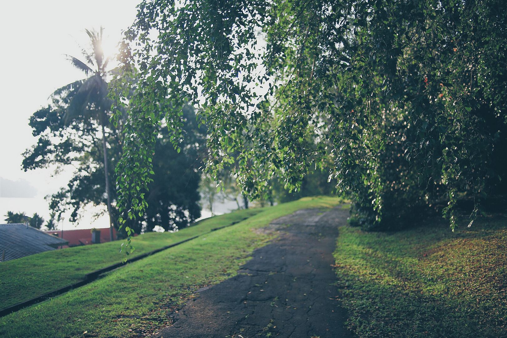 photo 2014-08-24 04.04.22 1_zpsxweghe0u.jpg