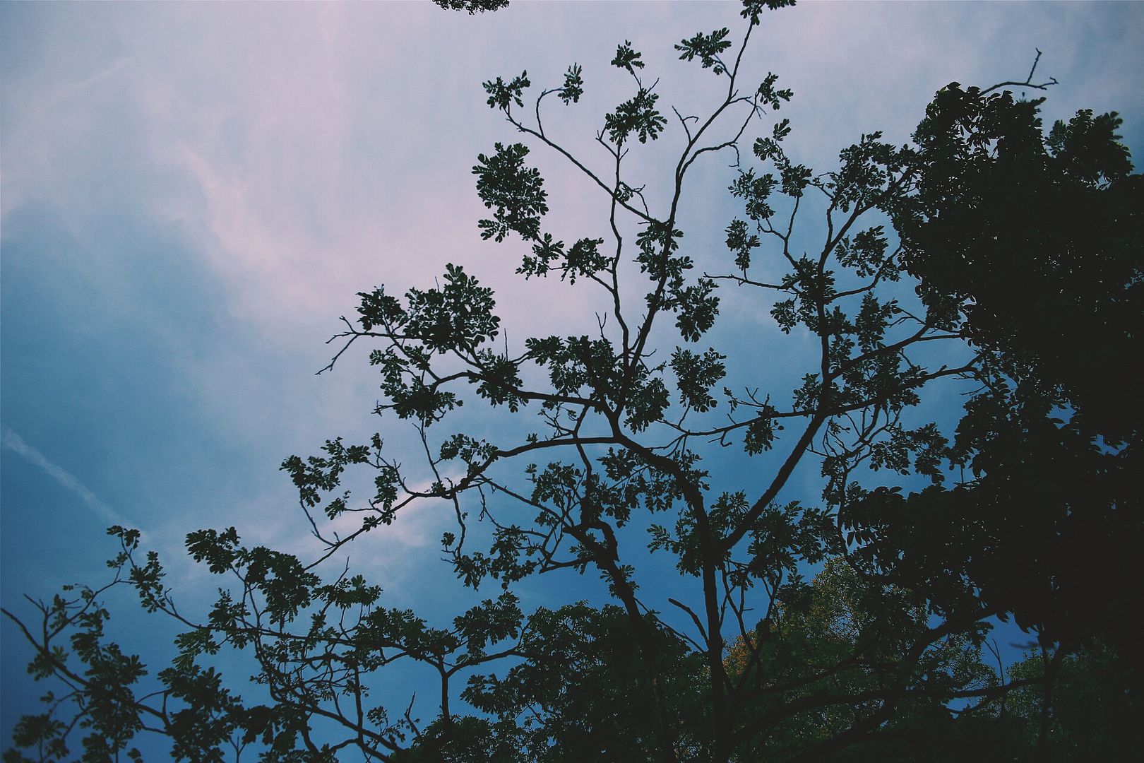 photo 2014-08-24 04.07.55 1_zpssiu6yzmq.jpg