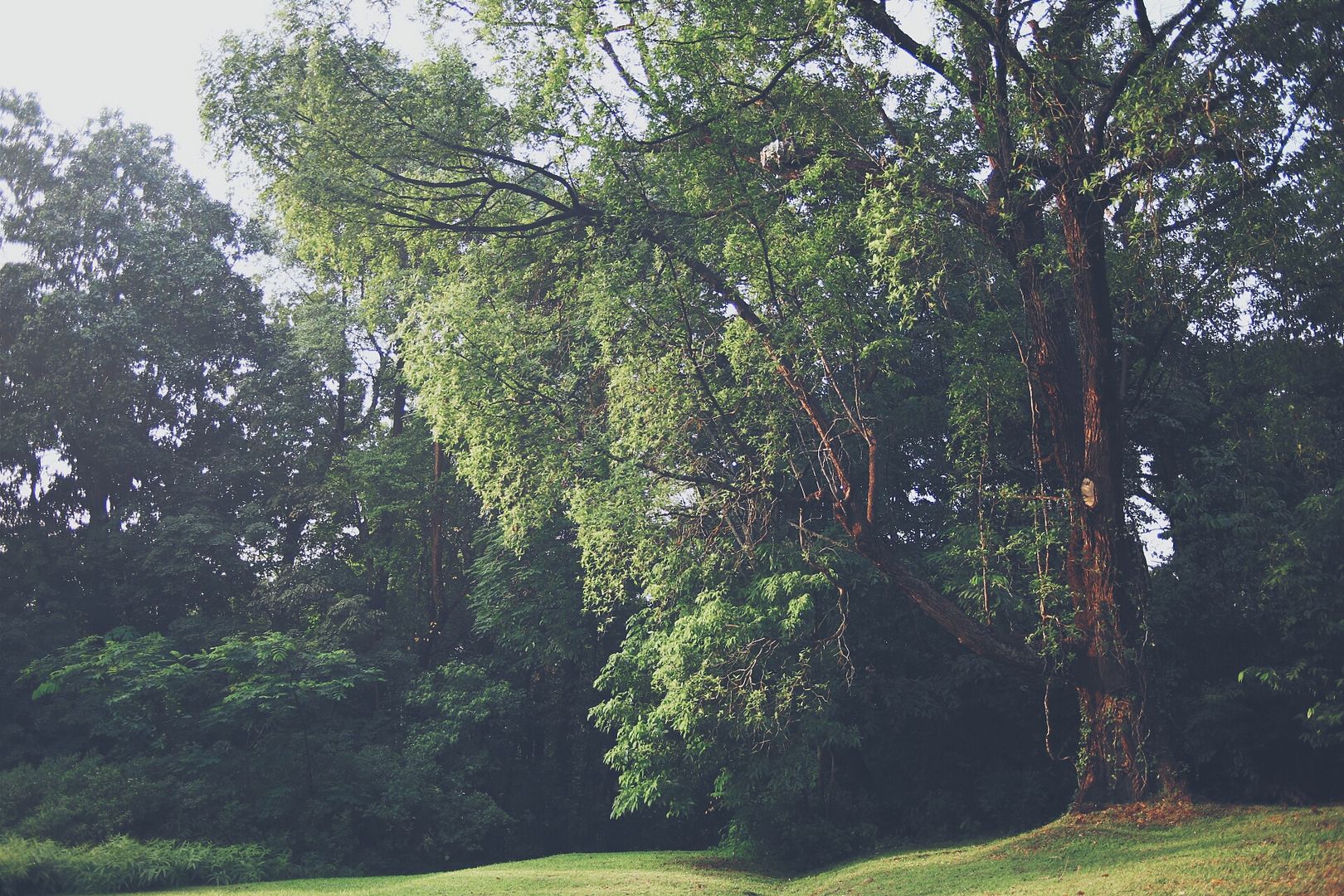 photo 2014-08-24 04.09.40 1_zpsukgx9pnb.jpg