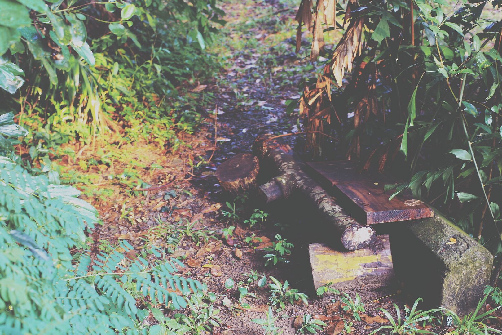 photo 2014-08-24 04.12.46 1_zps4wgsamhz.jpg