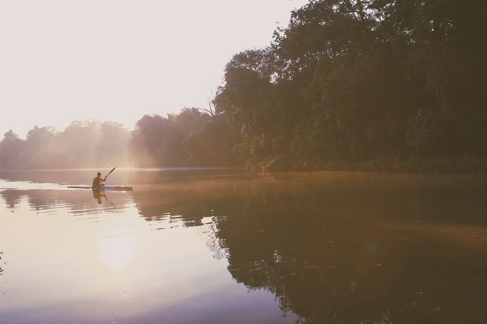 photo 2014-08-24 06.18.07 1_zpsg9h7q9b1.jpg