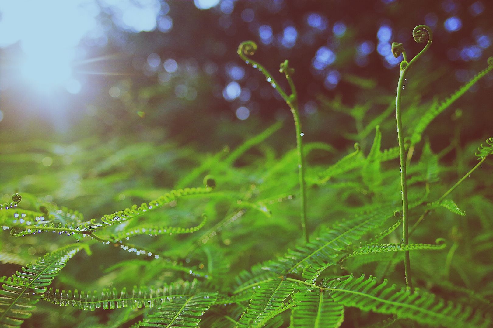 photo 2014-08-24 09.04.12 1_zpspux6ra8w.jpg