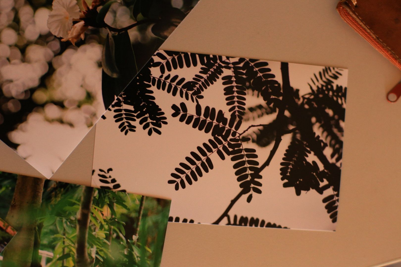 photo 20140909164529_IMG_0790_zpsxsu5oqor.jpg