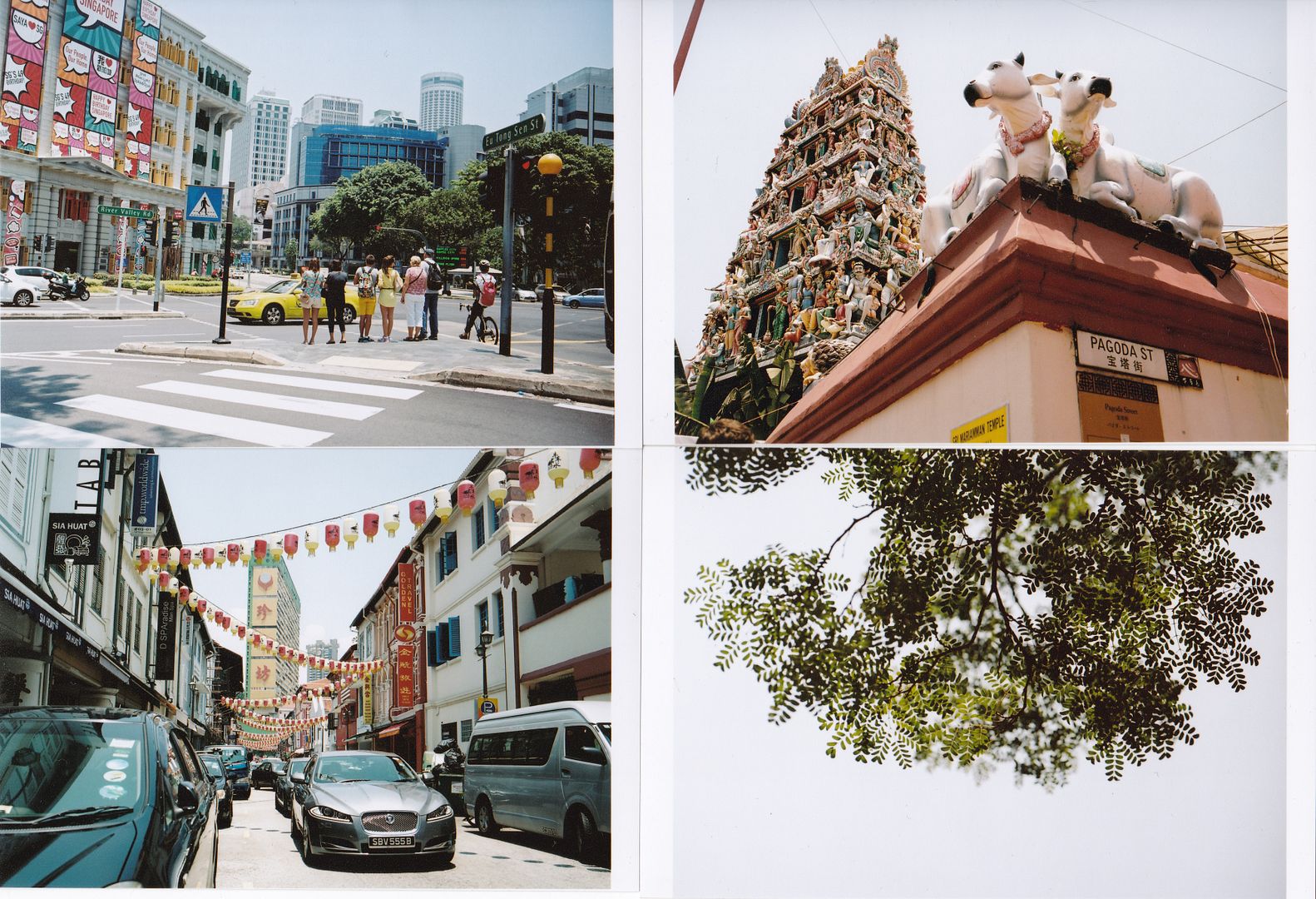  photo IMG_20141013_0001_zpsqydroaqc.jpg