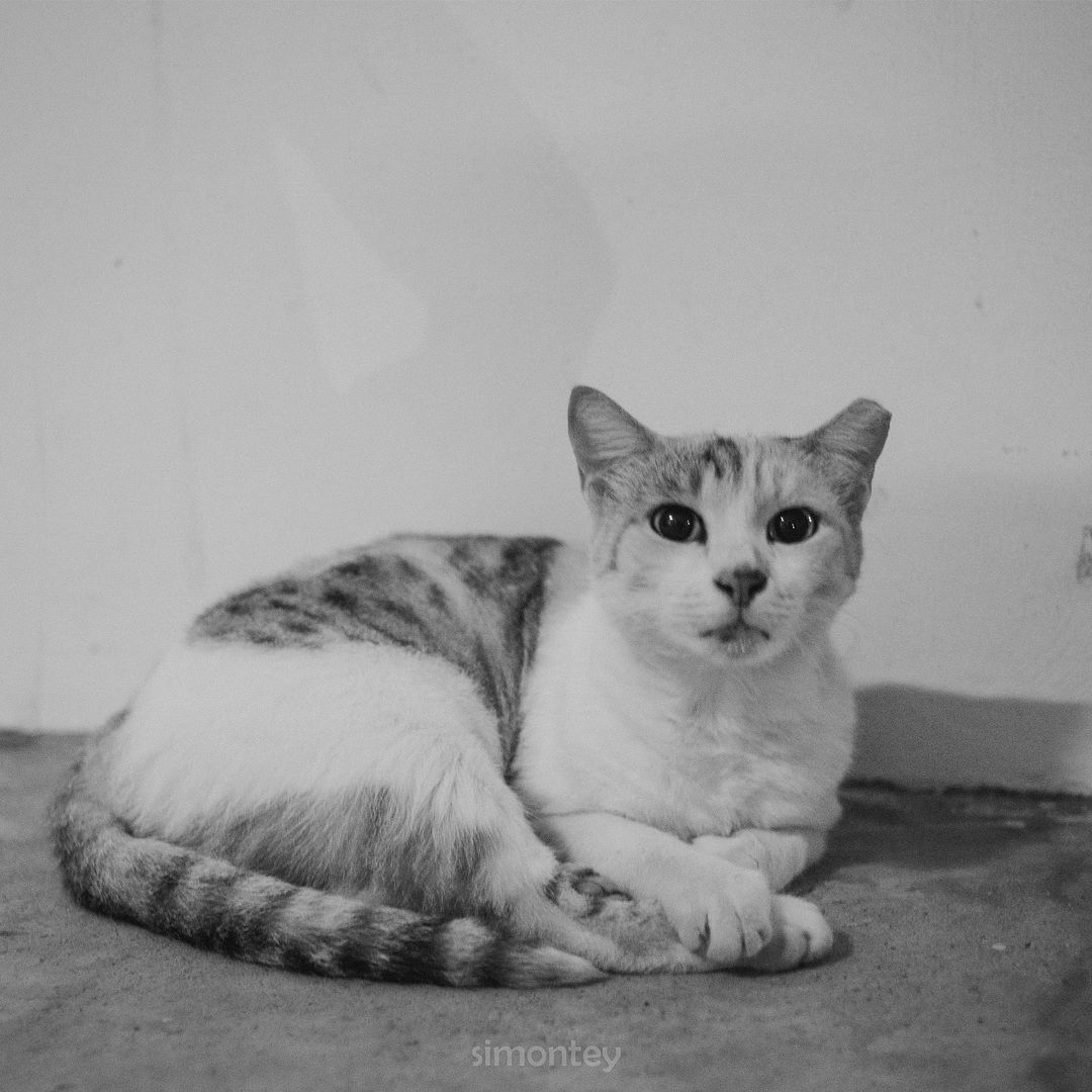  photo IMG_20141120_005258_zpsp16irqgy.jpg