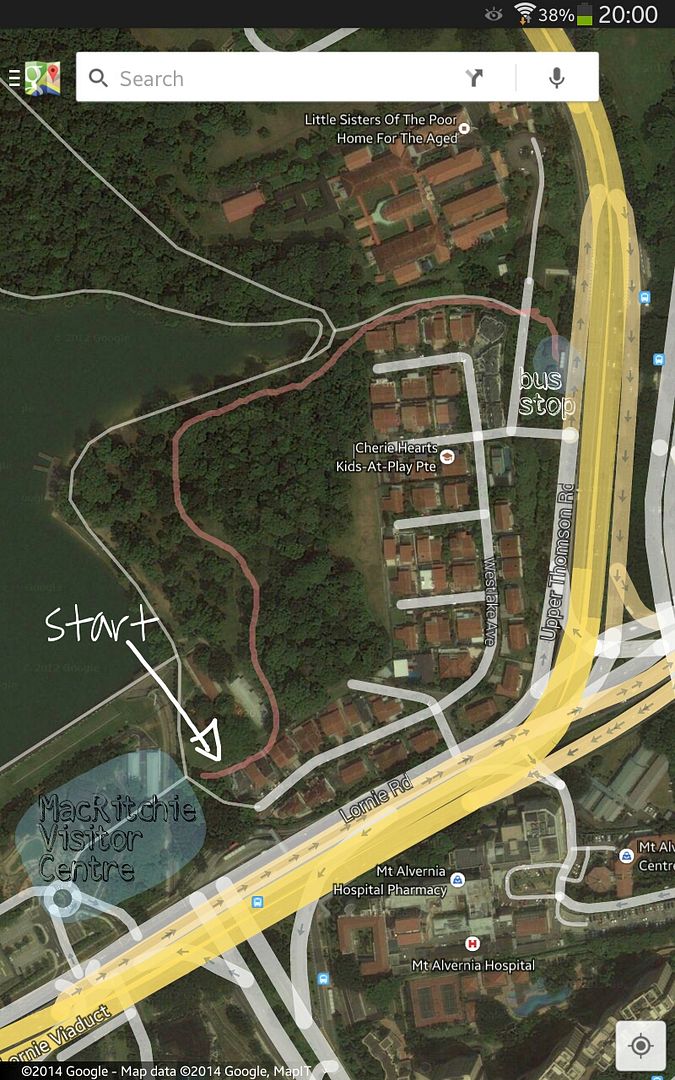 photo PicsArt_1408882371028_zpsye9qo7xu.jpg