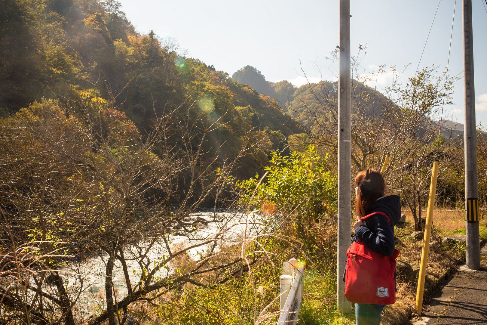  photo _jpeg IMG_0059-Edit_zpsesrjtjc0.jpg