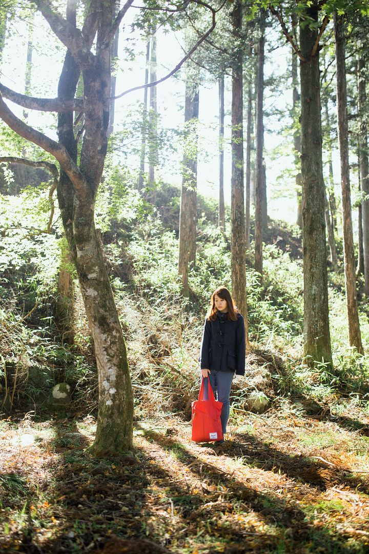  photo _jpeg IMG_0166_zpsqlwcyze8.jpg