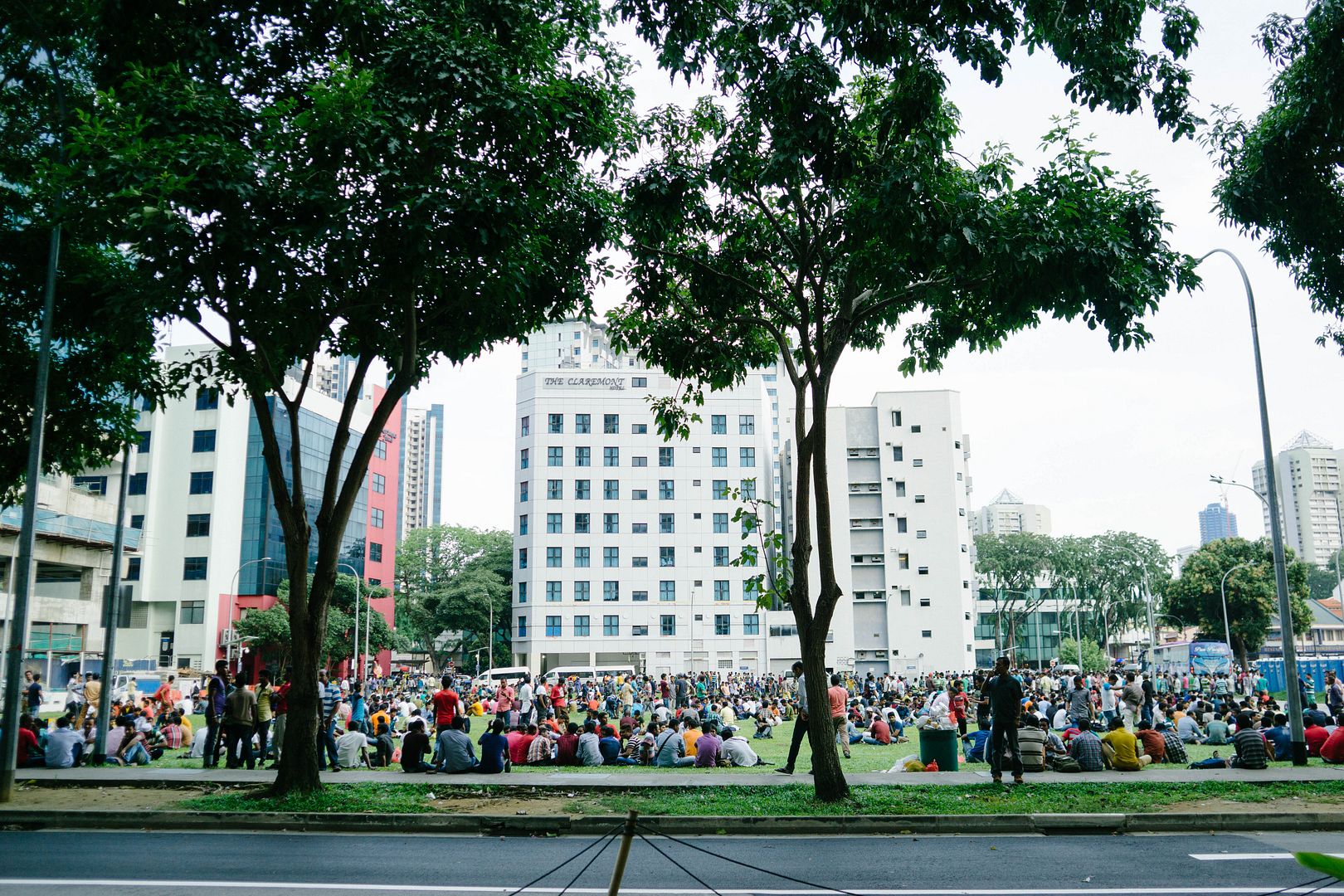  photo 55_zpskdnjjtff.jpg