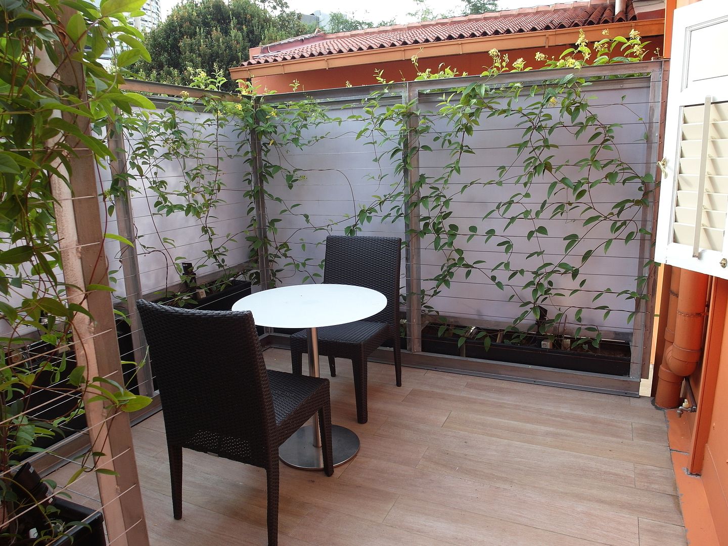  photo SAM_0528_zpsdad345ab.jpg