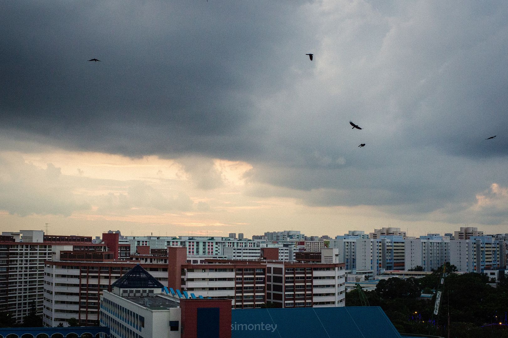 photo _jpegIMG_0578_zps848de81b.jpg