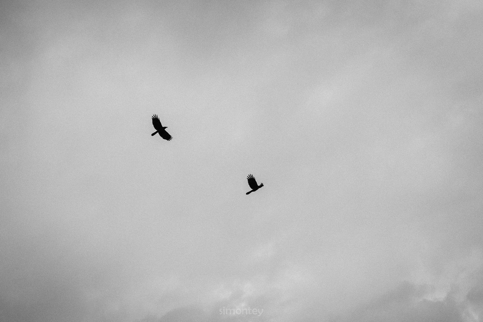 photo _jpegIMG_0579_zps3d800f1a.jpg