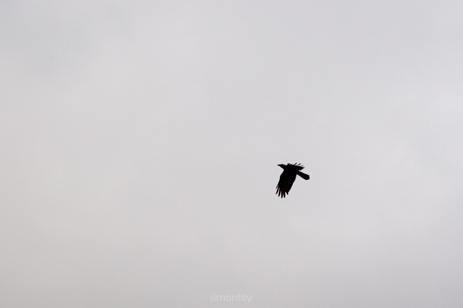 photo _jpegIMG_0590_zps2c499979.jpg