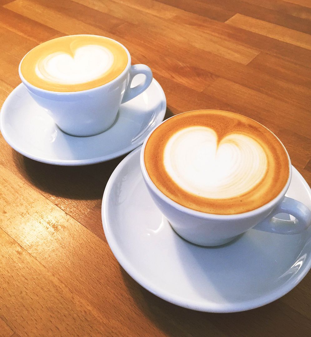  photo IMG_6346-2_zpsorscogw3.jpg