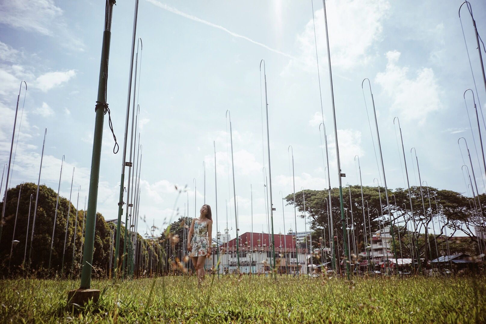 photo IMG_3397_zpsa6vwyzr4.jpg