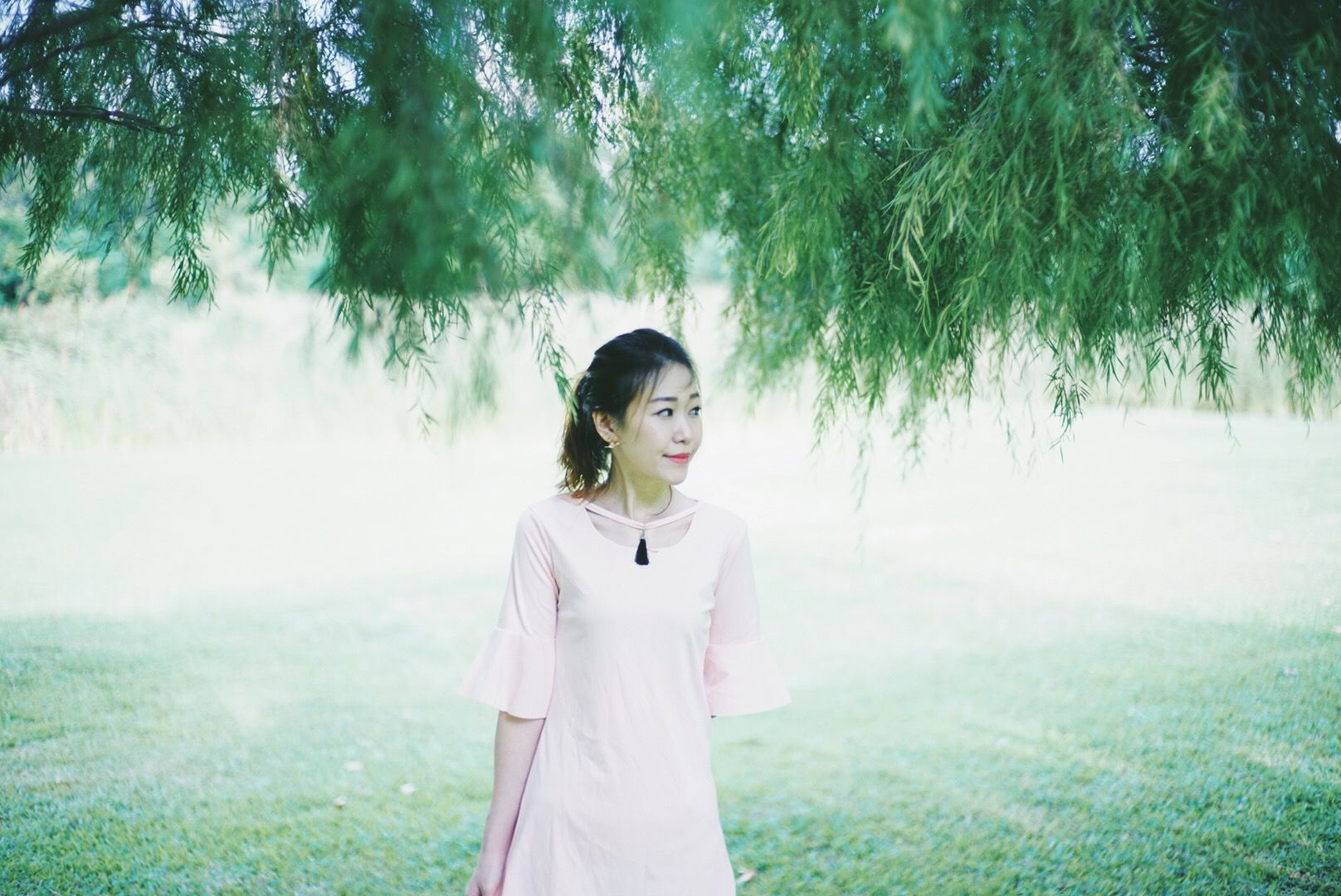  photo IMG_4194_zpstmm0epcq.jpg