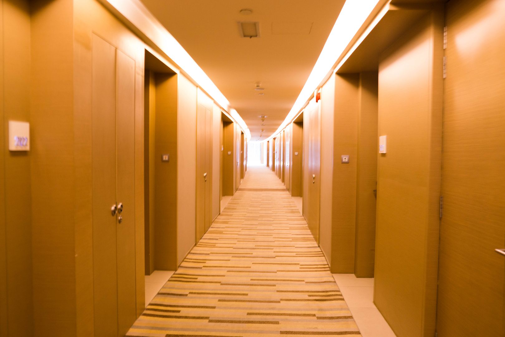  photo 29_zpspjmqpygo.jpg