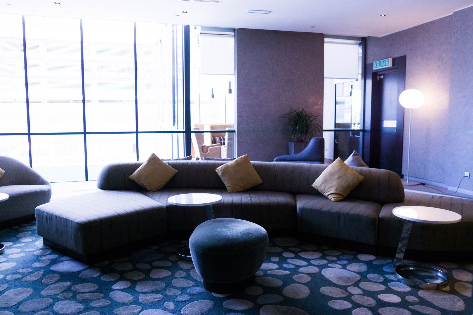  photo 5_zpsw5othkwn.jpg