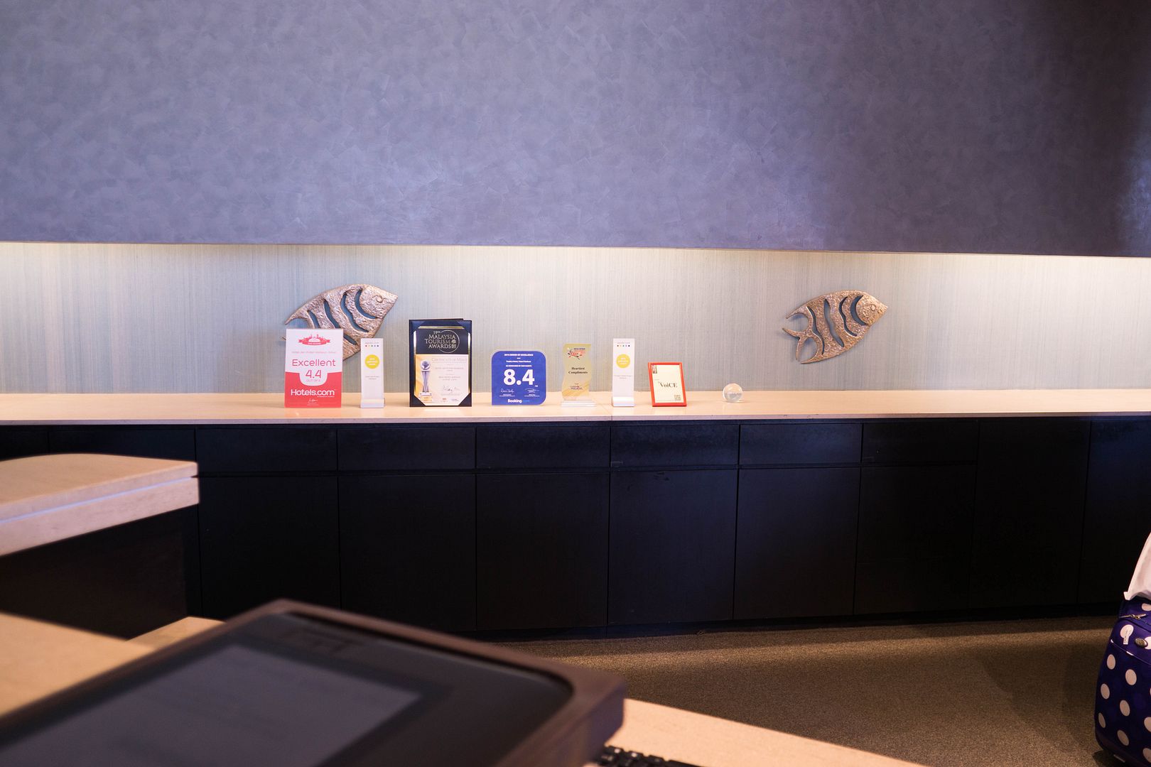  photo 6_zpstvbvihjj.jpg