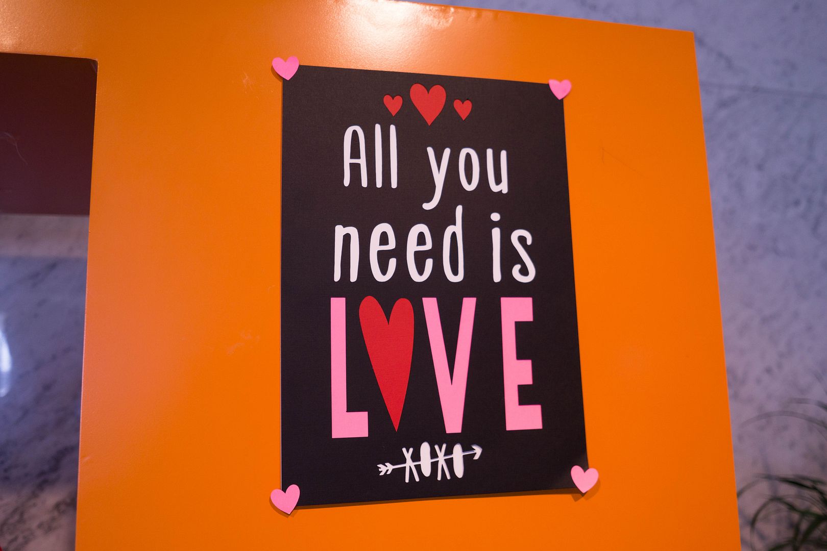  photo 8_zpsyhatmnlr.jpg