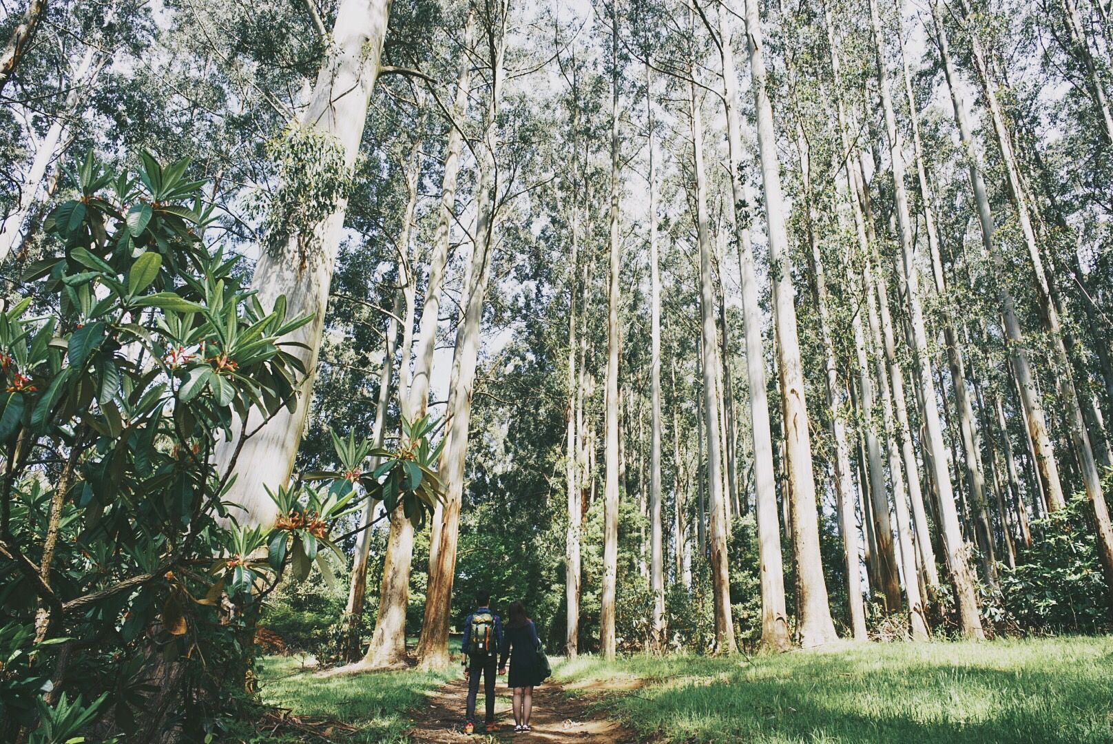  photo 10_zpsy7fz7sum.jpg